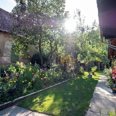 Villa Rihuini Eco Wine House Transylvania Richisu Экстерьер фото
