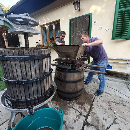 Villa Rihuini Eco Wine House Transylvania Richisu Экстерьер фото