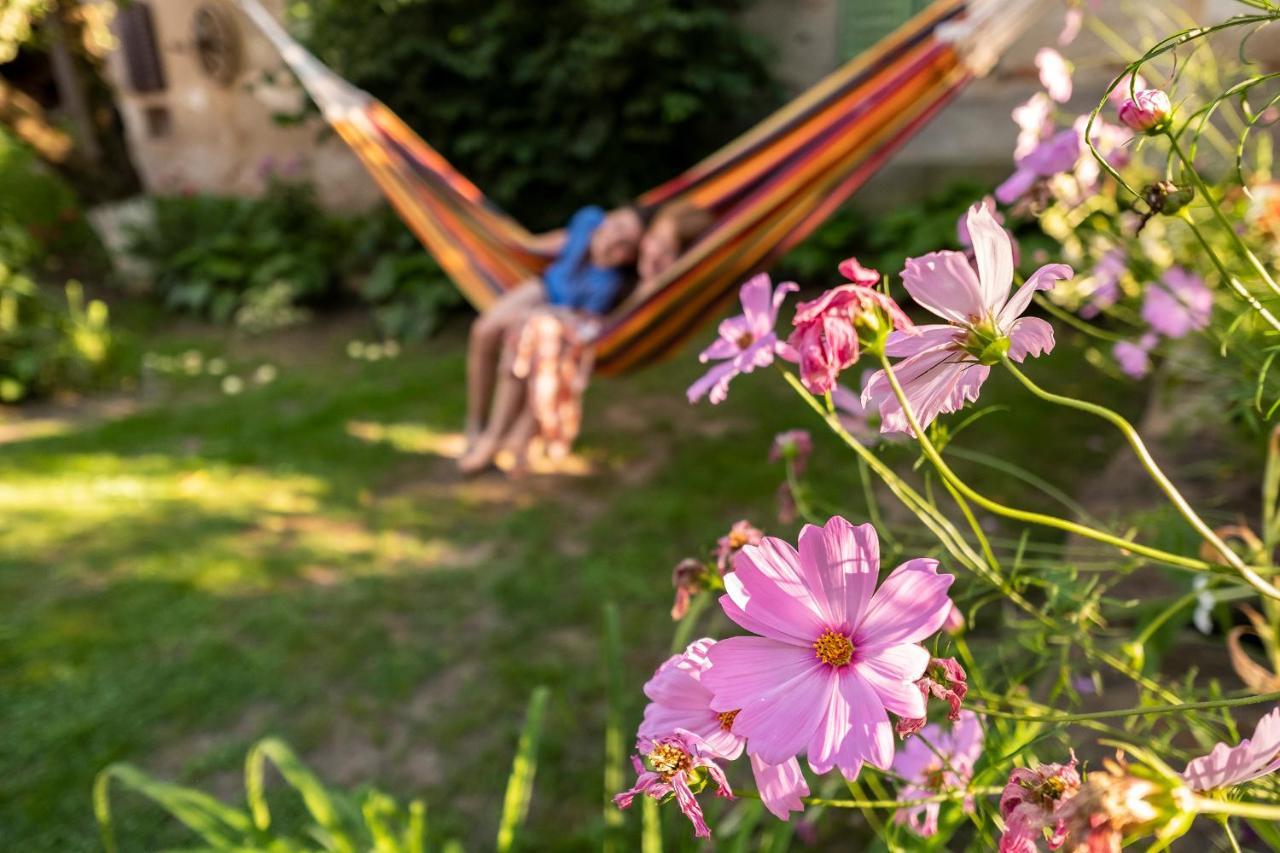 Villa Rihuini Eco Wine House Transylvania Richisu Экстерьер фото