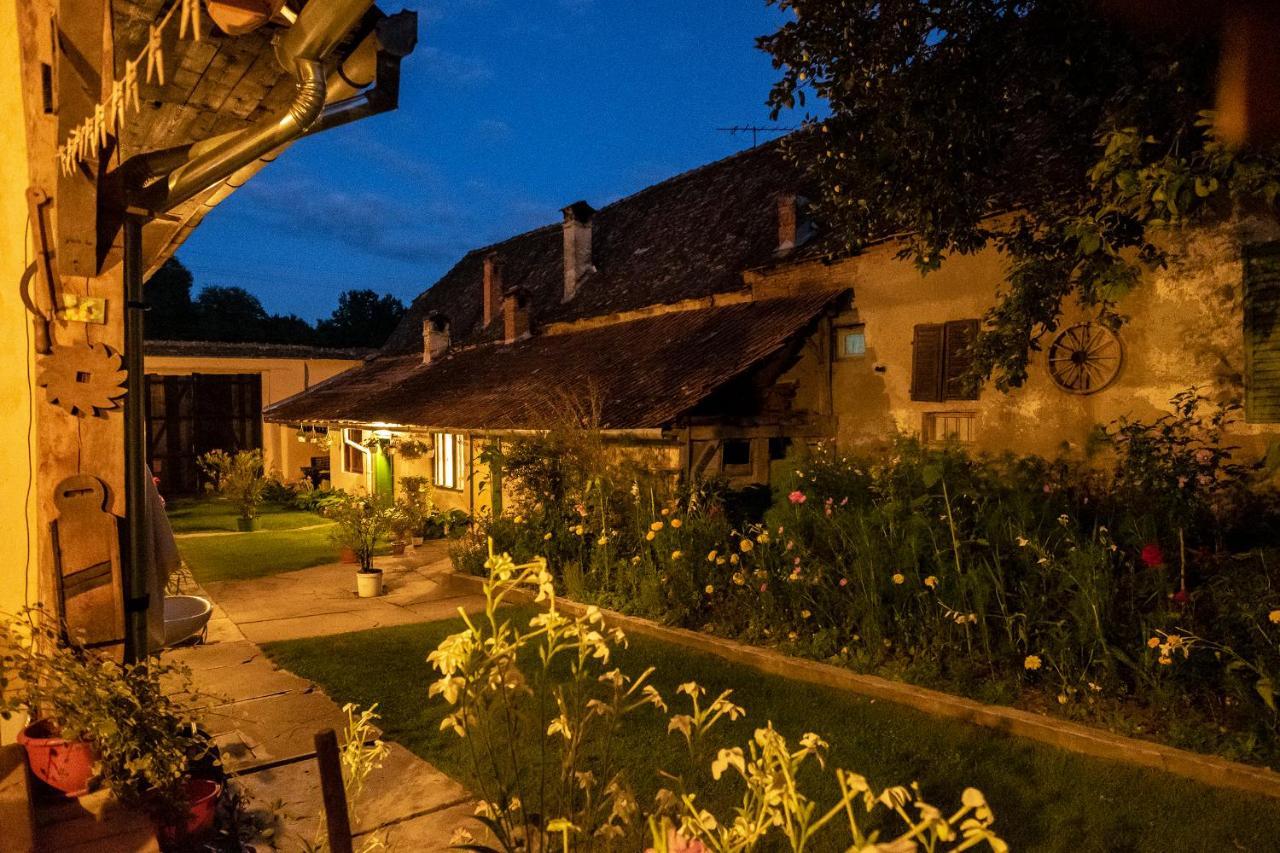 Villa Rihuini Eco Wine House Transylvania Richisu Экстерьер фото