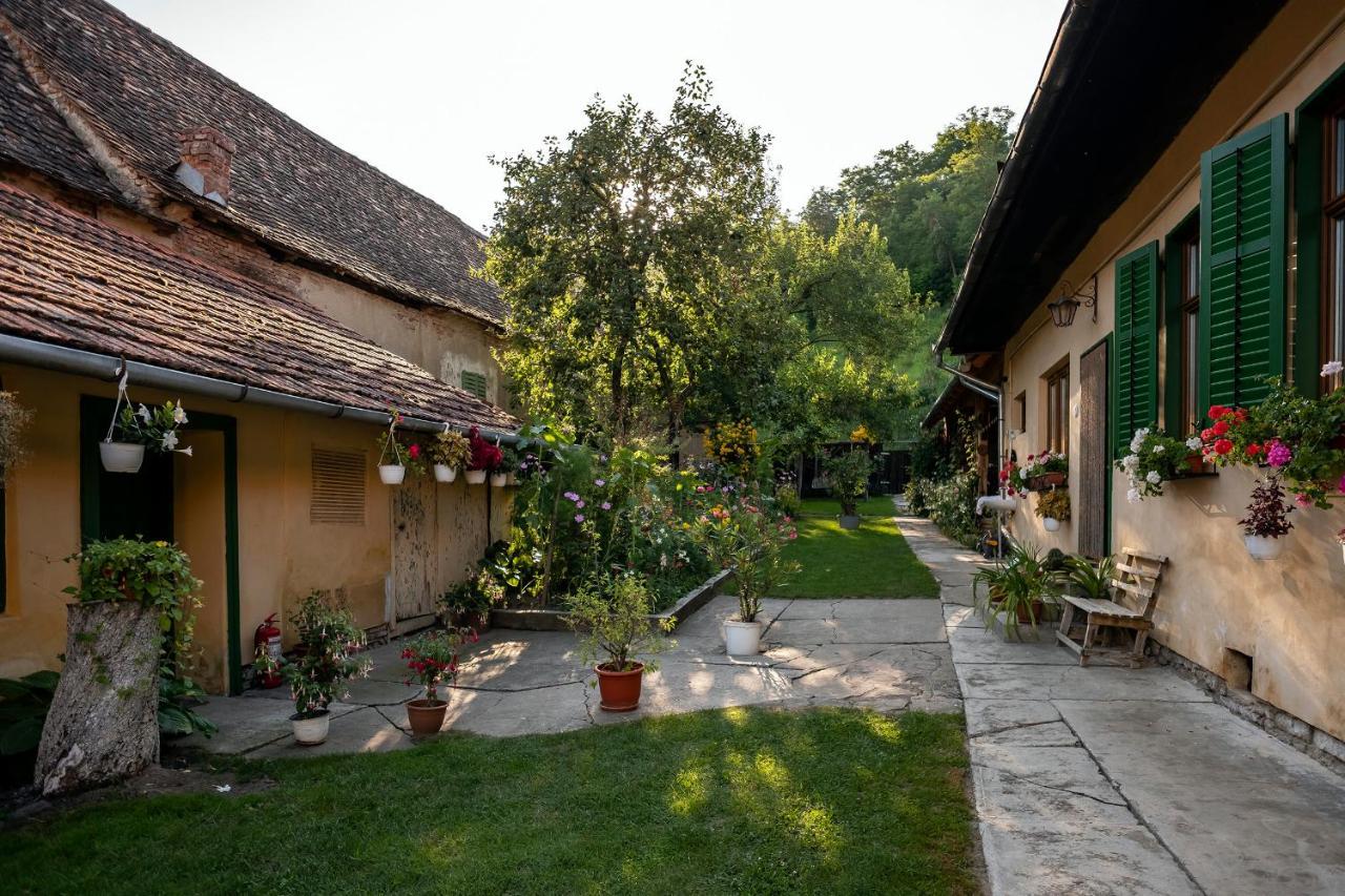 Villa Rihuini Eco Wine House Transylvania Richisu Экстерьер фото