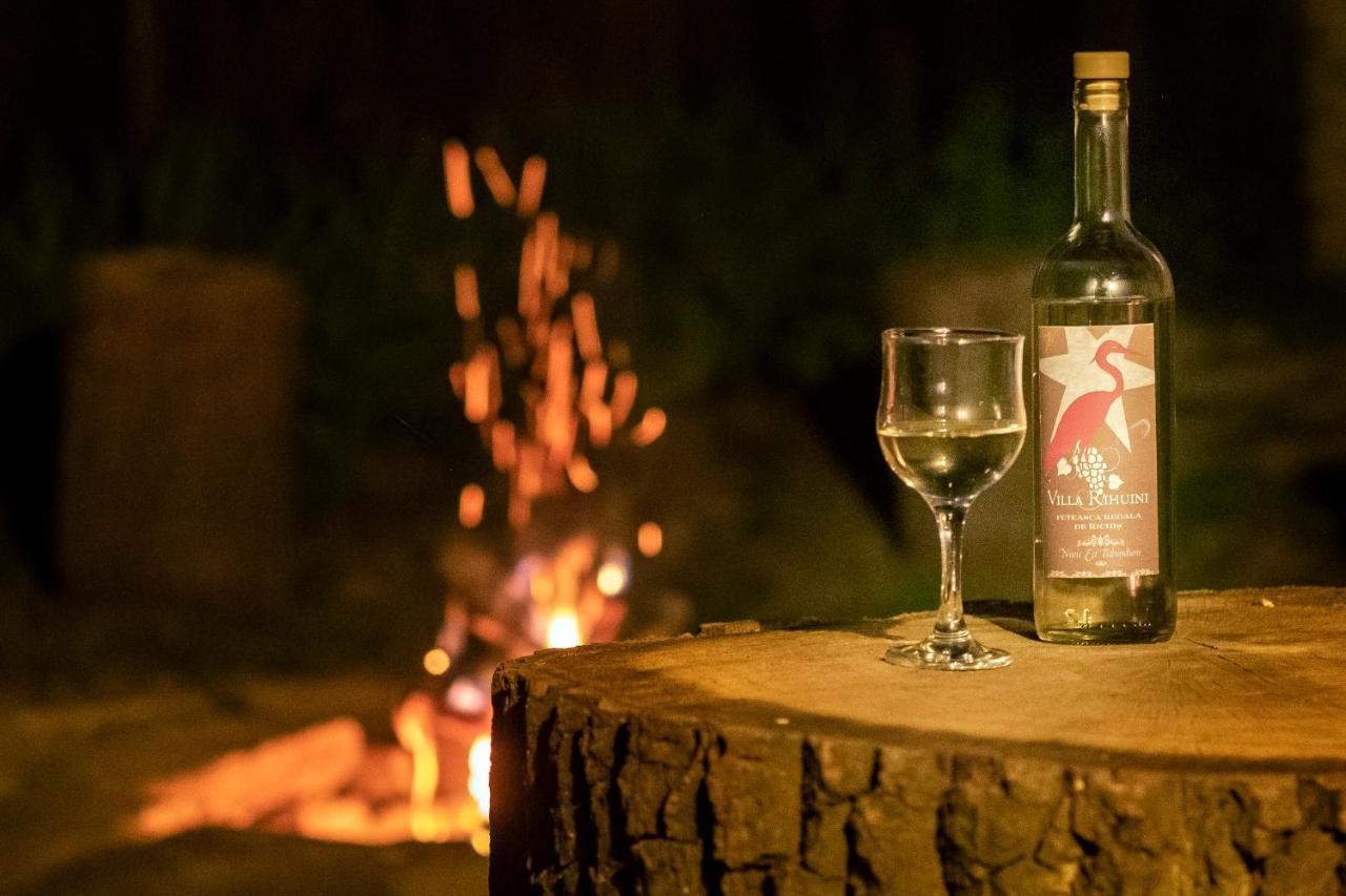 Villa Rihuini Eco Wine House Transylvania Richisu Экстерьер фото