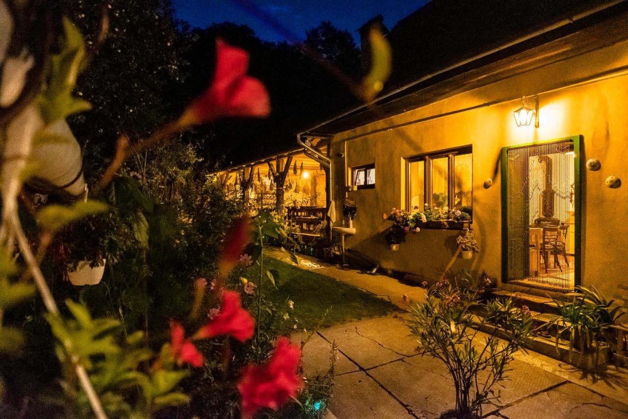 Villa Rihuini Eco Wine House Transylvania Richisu Экстерьер фото