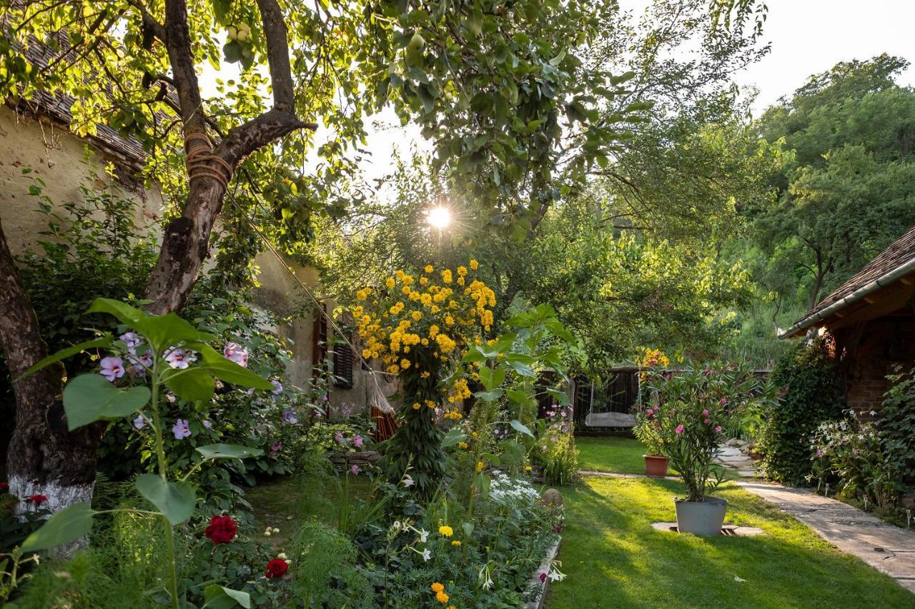 Villa Rihuini Eco Wine House Transylvania Richisu Экстерьер фото