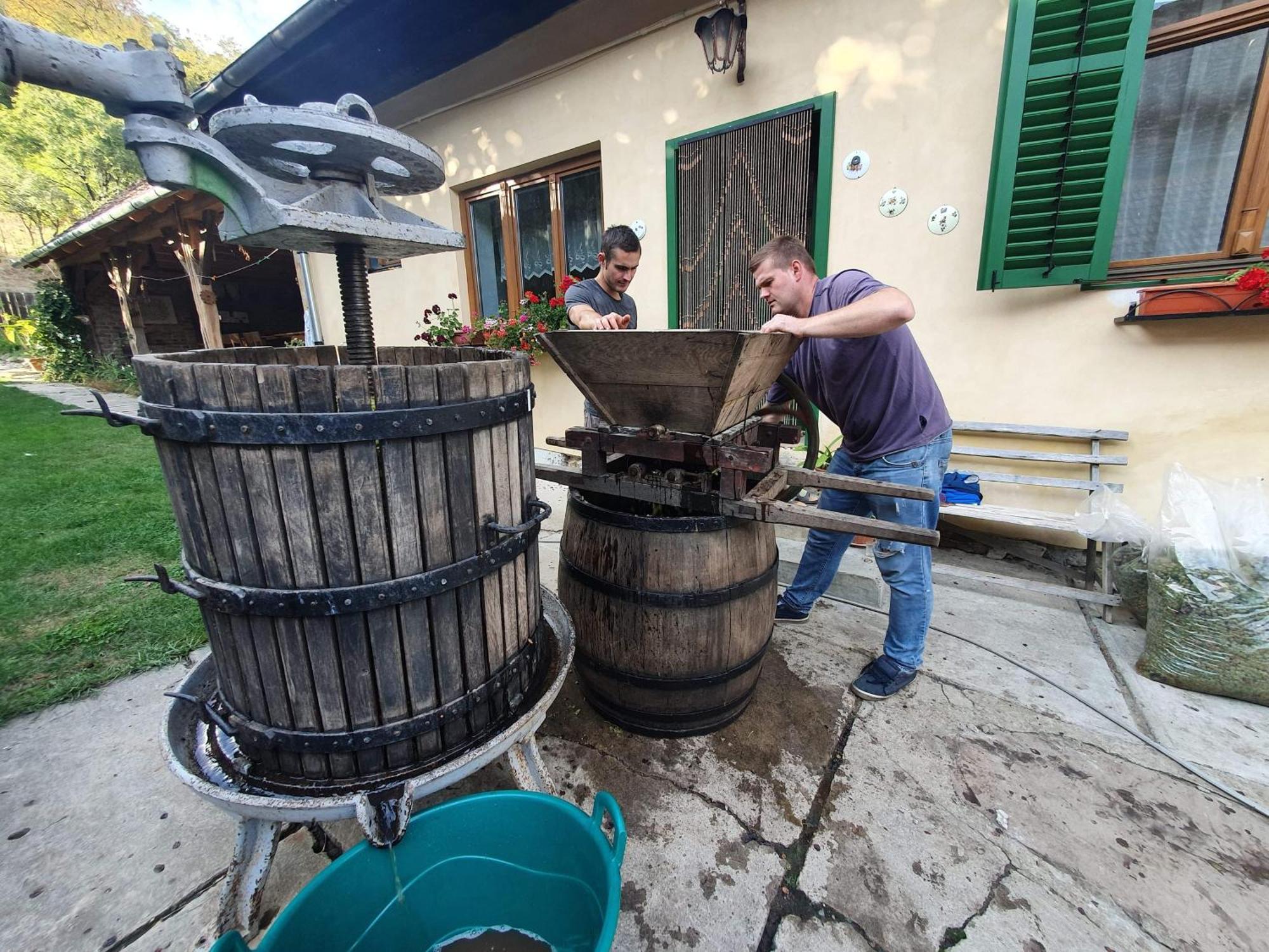 Villa Rihuini Eco Wine House Transylvania Richisu Экстерьер фото